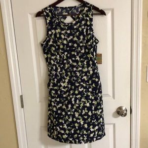 Title Nine Phantasm Dress size 6